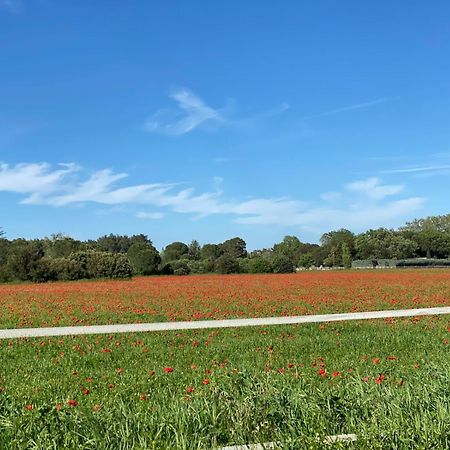 Le Gite Des Poiriers Uzès Exterior foto