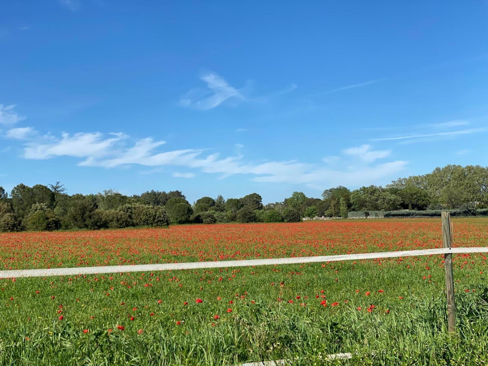Le Gite Des Poiriers Uzès Exterior foto